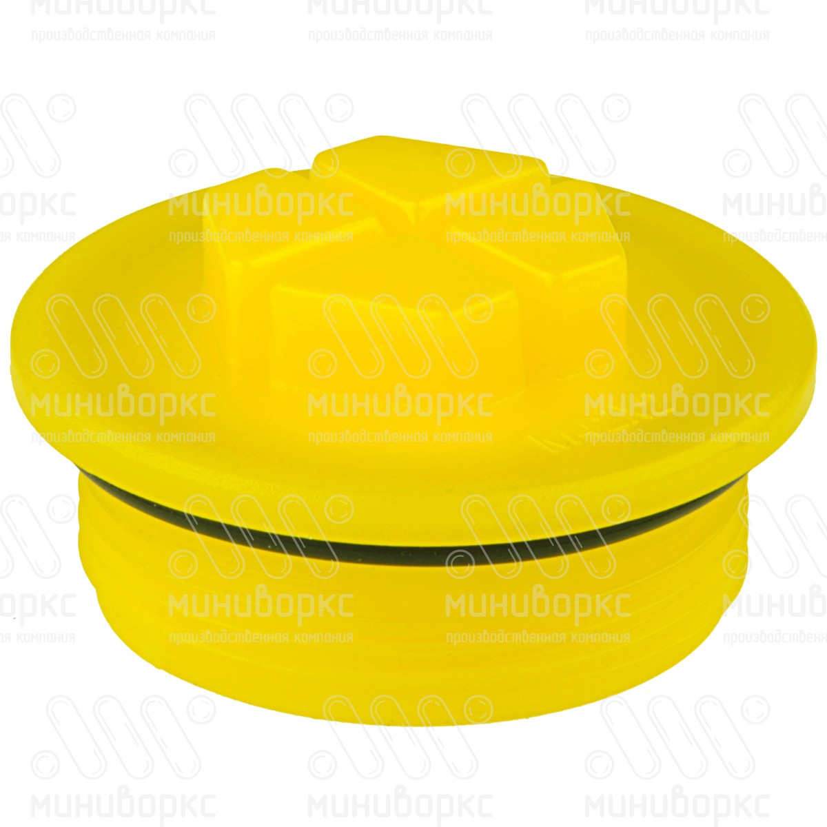 Заглушки для резьбовых отверстий m42×2 – TFTOR42X2 | картинка 1